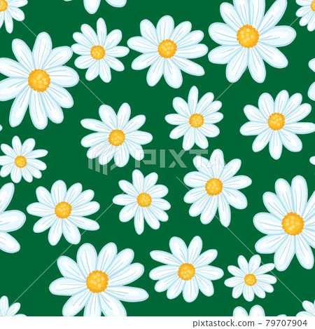 Summer season seamless pattern with light blue random daisy flowers print. Green bright background. 79707904