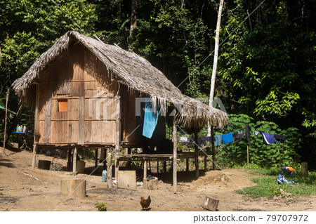 Batek natives traditional home. Batek are the indigenous people in Taman Negara National Park. Batek natives traditional home. Batek are the indigenous people in Taman Negara National Park. 79707972