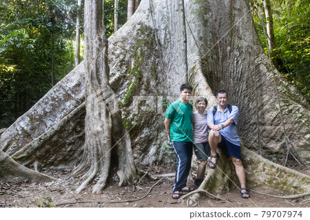 Tourists posing with big trunk tualang tree with huge roots at Taman Negara National Park, Pahang Tourists posing with big trunk tualang tree with huge roots at Taman Negara National Park, Pahang 79707974