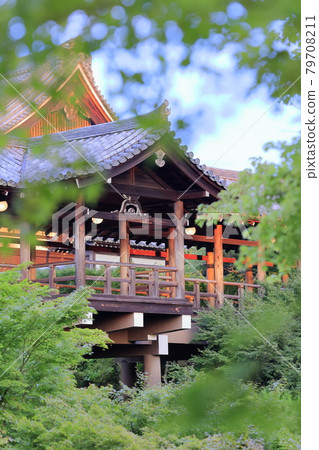 Tofukuji Temple: Garden of fresh greenery, lit up from dusk 79708211
