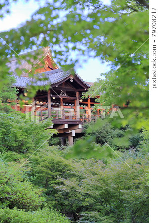Tofukuji Temple: Garden of fresh greenery, lit up from dusk 79708212