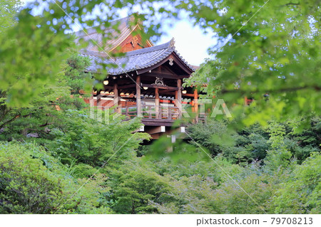 Tofukuji Temple: Garden of fresh greenery, lit up from dusk 79708213