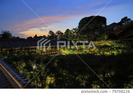 東福寺,清新的綠色花園,從黃昏開始亮起 東福寺,清新的綠色花園,從黃昏開始亮起 79708226