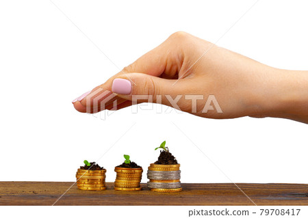 Seedlings grown on a coins stack in female palm Seedlings grown on a coins stack in female palm 79708417