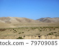 The road in the desert area of Uzbekistan. 79709085