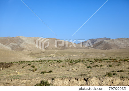 The road in the desert area of Uzbekistan. 79709085