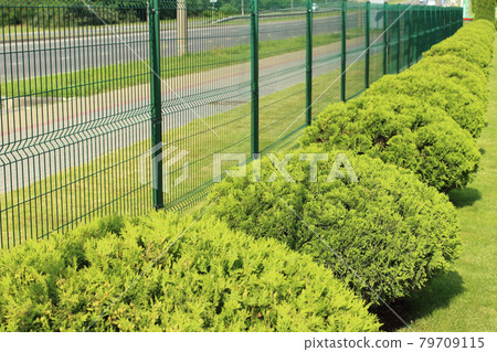 neat fence and green spaces along the parking lot in the city 79709115