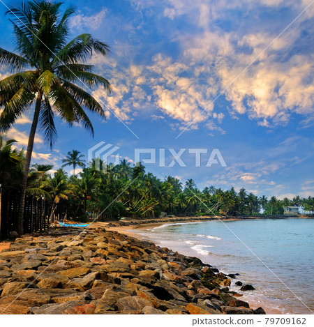 Beautiful sunset over a tropical beach with palm trees. Beautiful sunset over a tropical beach with palm trees. 79709162