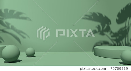3D render of podiums with shadow of the tropical plants 3D render of podiums with shadow of the tropical plants 79709319
