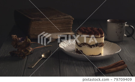 Appetizing Tiramisu dessert Appetizing Tiramisu dessert 79709409