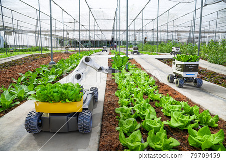 Agriculture robotic and autonomous car working in smart farm, Future 5G technology smart agriculture farming concept Agriculture robotic and autonomous car working in smart farm, Future 5G technology smart agriculture farming concept 79709459