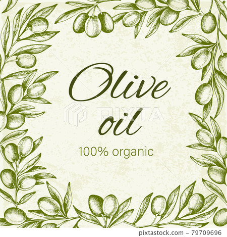 Vintage background with green olive branch. Vintage background with green olive branch. 79709696