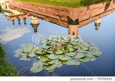 Water lily in a garden pond with a reflection of the tower of the Nesvizh castle Water lily in a garden pond with a reflection of the tower of the Nesvizh castle 79709845