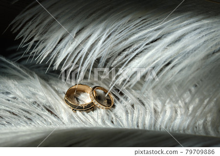 Two wedding rings lie in white feathers. The concept of love Two wedding rings lie in white feathers. The concept of love 79709886