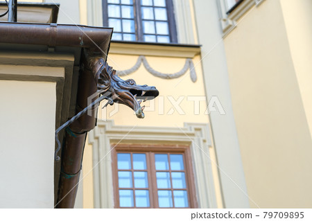 decorative part of the drain for the water of the Nesvizh castle.Belarus 79709895