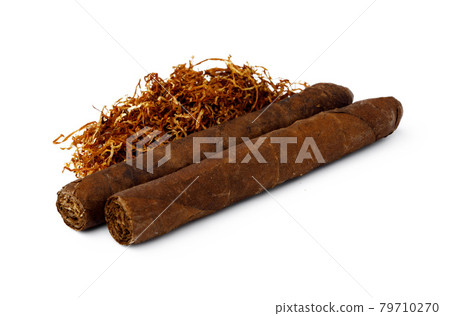 Cigar and bunch of dry tobacco leaves isolated on white Cigar and bunch of dry tobacco leaves isolated on white 79710270