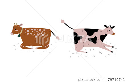 Milk Cow with Udder Grazing on Pasture as Dairy Cattle Breeding and Farming Vector Set 79710741