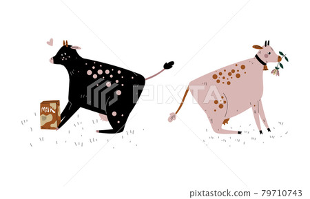 Milk Cow with Udder Grazing on Pasture as Dairy Cattle Breeding and Farming Vector Set 79710743