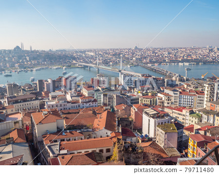 Panorama from the heights of Istanbul. Turkey. Panorama from the heights of Istanbul. Turkey. 79711480