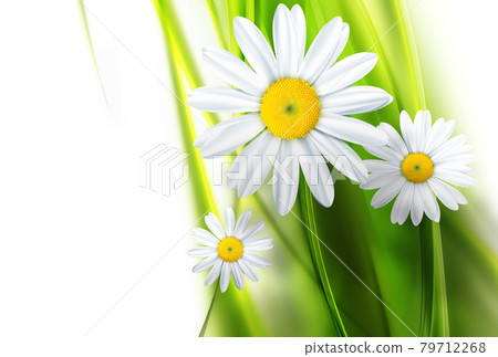 nature background 79712268