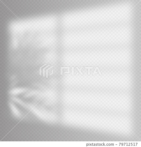 Realistic shadows overlay template. Window jalousie shadow frame and palm tree, natural interior Realistic shadows overlay template. Window jalousie shadow frame and palm tree, natural interior 79712517