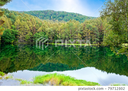 Oga pond in early autumn 79712802