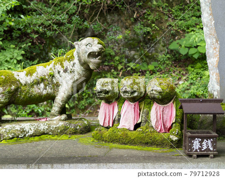 寺廟中供奉的老虎石像 寺廟中供奉的老虎石像 79712928