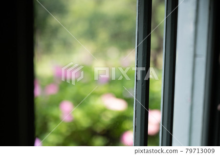 透過大正玻璃可以看到繡球花 79713009