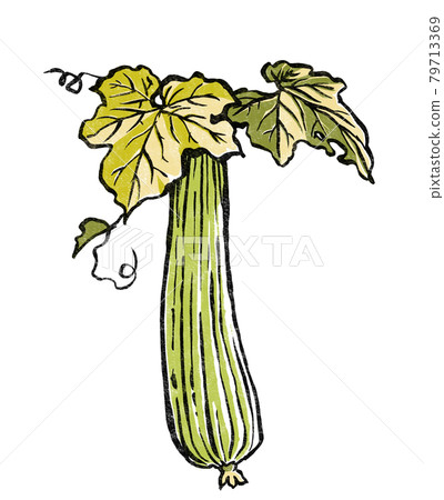 Loofah leaves and fruit, woodblock print style 79713369