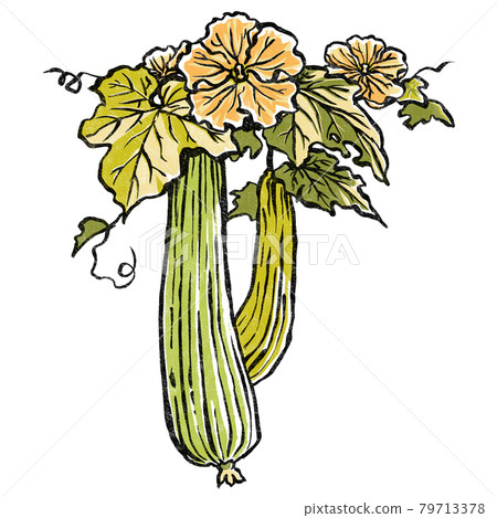 Loofah flower and two fruits, woodblock style 79713378