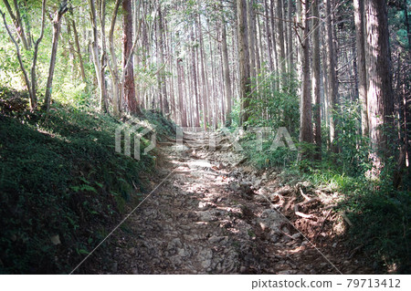 Seibu Chichibu Hiking Course Mountain Path (near Kaoburi Pass) 79713412