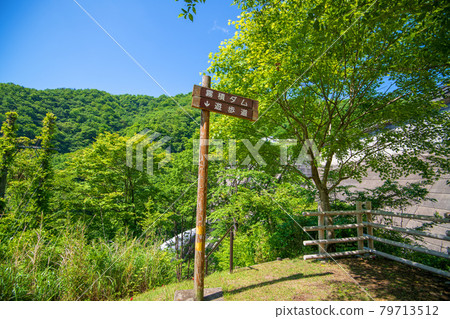 霧泉水庫 霧泉湖濱散步道 初夏週邊景色 霧泉水庫 霧泉湖濱散步道 初夏週邊景色 79713512