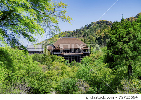 Fresh green Kiyomizu Temple (after the stage renovation is completed) 79713664