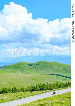 金星線（夏季） 79713752