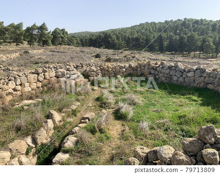 Ruins of the ancient Jewish settlement Anim in the Negev 79713809