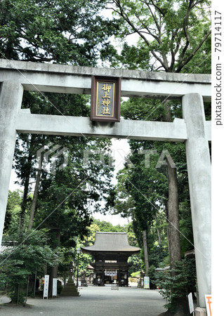Torii gate of Mikami Shrine [Yasu City, Shiga Prefecture] 79714117