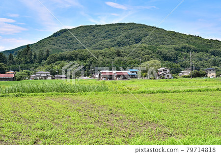 小川鎮漫步:小川盆地田園風光 小川鎮漫步:小川盆地田園風光 79714818