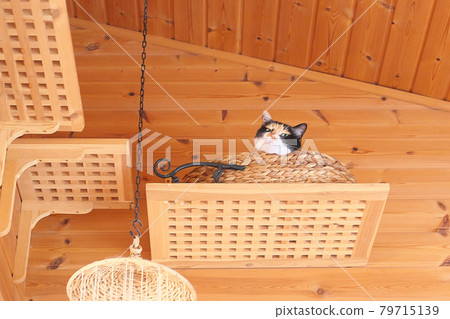 Shall I hear your story? 79715139