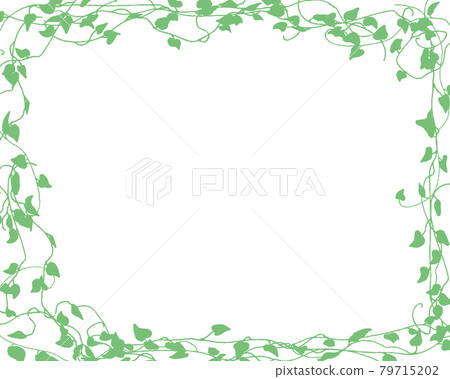 手繪植物。常春藤插圖。植物框架 79715202