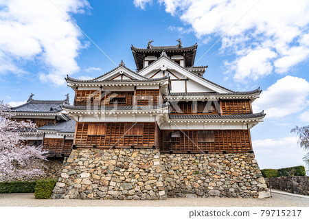 Fukuchiyama City, Kyoto Prefecture, the castle tower of Fukuchiyama Castle in the spring when cherry blossoms bloom Fukuchiyama City, Kyoto Prefecture, the castle tower of Fukuchiyama Castle in the spring when cherry blossoms bloom 79715217