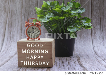 Text on wood block with alarm clock on top and potted plant 79715354