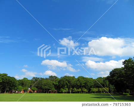 陽光明媚的草坪公園 陽光明媚的草坪公園 79715363