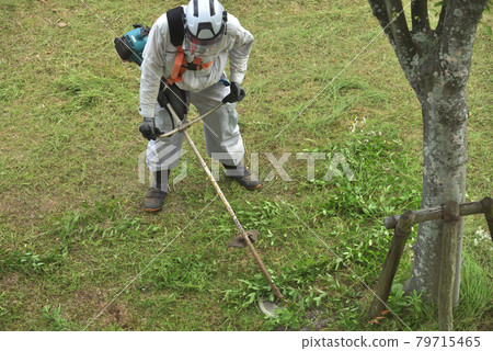 園丁正在割草 園丁正在割草 79715465