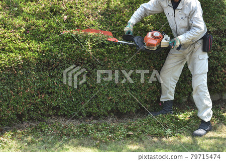 使用園丁剪進行修剪工作 使用園丁剪進行修剪工作 79715474