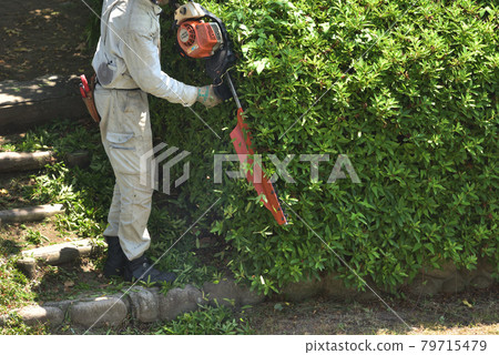 使用園丁剪進行修剪工作 79715479