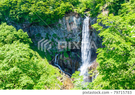 Kegon Waterfall 79715783