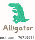 Alligator. Vector flat illustration. Alphabet card. Cute cartoon animal card. 79715954