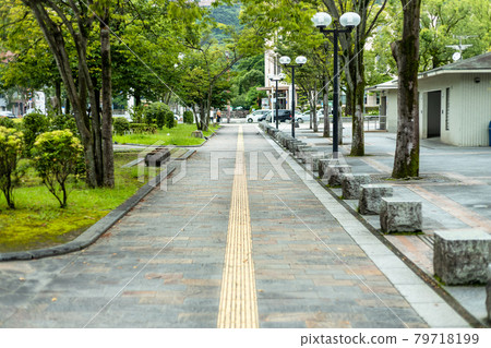 Braille blocks on the sidewalk. Street trees and sidewalk. 79718199
