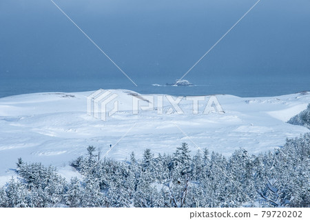 Snow modeling (Tottori Sand Dunes) 79720202
