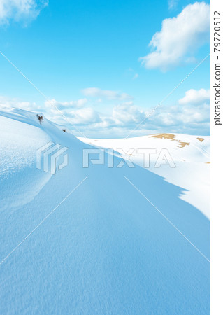 雪地造型（鳥取沙丘） 79720512